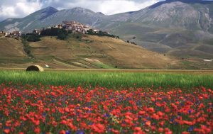 Castelluccio di Norcia