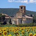 Best Tuscany travel web sites